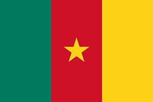 flag_of_cameroon